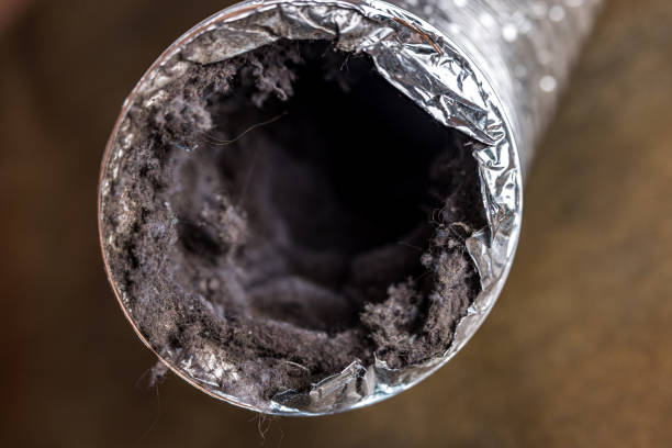 Best Affordable Duct Cleaning Services  in Chesapeake, OH